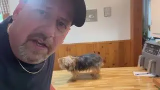 Cucumber Mint Vodka Soda review from NB Distillery with Charlie the Table Dog.