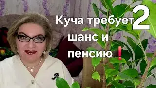 Куча требует шанс и пенсию❗️