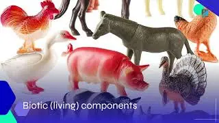 Agricultural Ecology