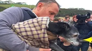 This Heartbroken Man Took His 18 Year Old Dog For One Last Walk But He Didn’t Do It Alone