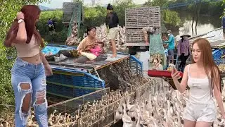 The ducks run in the fields, frolicking and the chase is exciting and surprising.