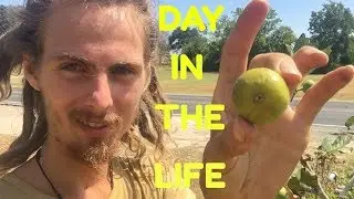 Day In The Life Of A Liquidarian!