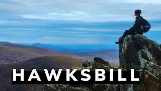 Hawksbill Summit Trail | Highest Point In Shenandoah National Park