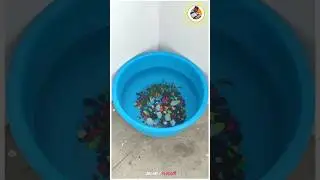 SHARK FISH🦈-BREEDING SETUP🤯|| How to breed a shark Fish at in tamil 📈🤩