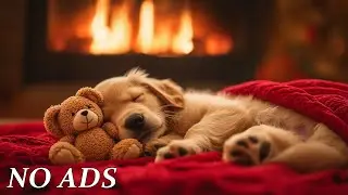 12 Hours of Healing Music For Dogs🐶💖| Calm Music for Dogs | Dog Sleep Music - Deep Calm