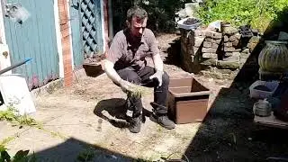 Patio de-weeding and tidying