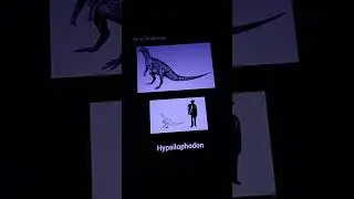 Hypsilophodon