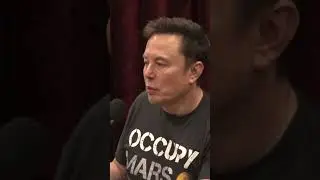Elon Musk on Trump Liz Cheney Comments 🇺🇸 #trump #election2024 #shorts