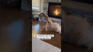 I caught my dog acting like a human!
