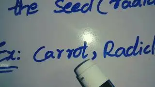 Root & Root Types explained in simple Terms/ Botany Basics...🌱