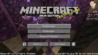 Minecraft 1.17.1 Set Seed Any% Glitchless in 2:21 Minutes