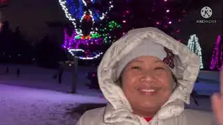 AMAZING CHRISTMAS LIGHTS and PEACE BRIDGE Calgary DOWN TOWN