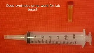 Does Synthetic Urine Work For Lab Tests?