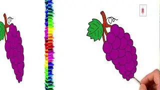 How to drawing Grape Tutorial for Kids