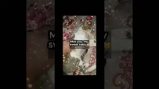 My Precious Cat 🐱 Gone But Never Forgotten 💔 | Cat Tribute