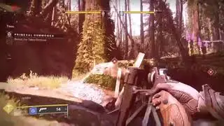 Eriana's Vow Gambit bug edit
