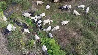 Traditional countryside life in rural Nepal.Primitive village life style.