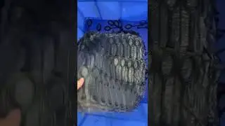 Expert Custom Silicone Compression