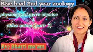 B.sc b.ed 2nd year zoology || physiology of nerve Impulse & reflex action ( part-2) by#bharti ma'am 