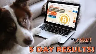 Start Options | Explode Your Bitcoin Wallet! (5th Day Results)