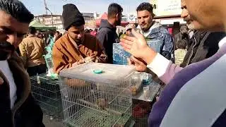 سوق الجمعة في البصرة|بتاريخ 9/1/2026