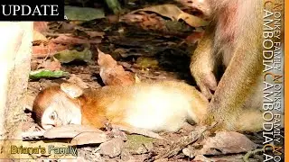 Baron's Body Start To Swell Up While His Family Gather To Wake Him Up