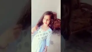 Zahra gull