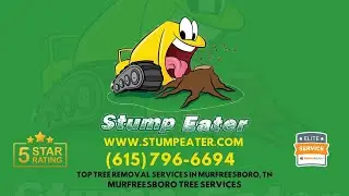 Top Tree Removal Services in Murfreesboro, TN
