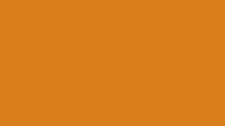 12 Hour Dark Cheddar (Orange) HD 1920x1080 Silence No Sound #E08119