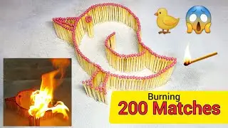 matchstick chain in the shape of a chicken reaction 😱🔥