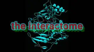 Impossible level of organization in the cell (the Levinthal interactome problem): Dr. James Tour