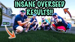 INSANE Results for the First Mow after Summer Overseed at Braddah Derrik's! 🤙🏾