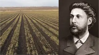 Овсинский. Озимая  30.03.20