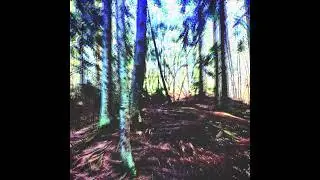 Cats in Grass - Springsong