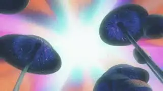 Perry Maysun - I Am Worm Food (Slowed + Reverb)