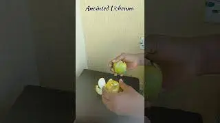 DIY using  orange 🍊 back to do rose 🌹 flower🌺🌹#viralvideo #diy#crafts#youtube 