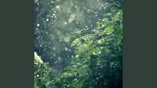 Am Rain No.171