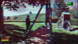 TikTok Spaziergang in Erlenbach auf Weinberge FunVideo