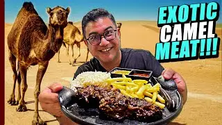 উটের মাংসের টেস্ট আসলে কেমন? | Exotic Camel Steak @ Mugalat Harees Al Walda, Doha Qatar