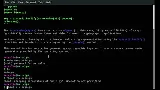 How to create a 256bit key generator in Python. Using tgpt AI in Linux!