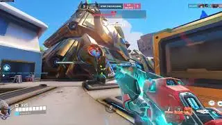 Professional Vengeance