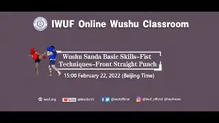 Wushu Sanda Basic Skills-Fist Techniques-Front Straight Punch