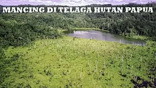 Mancing di Telaga Hutan Papua, Dapat Gabus Langka dan Mujaer Babon