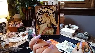DIVINE BALANCE Aligns A High Priestess With A NEW FOCUS! Here Is What You Will Be CELEBRATING #Tarot