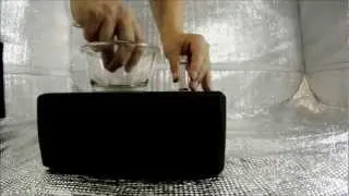 Bed Bugs Die Inside ZappBug | GoPro Video of Heat Treatment