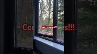 #music #idontknowwhattoputhere #centerparcs #holiday #newyearseve #forest