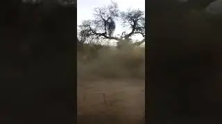 En ica&ntilde;o Catamarca