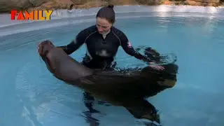 Les défis quotidiens des soigneurs du zoo d'Auvergne