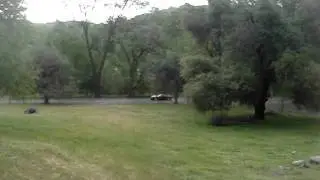 MOV01860
