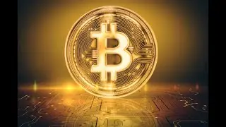 El Salvador approves Bitcoin as legal tender | English News | WION News